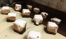 Load image into Gallery viewer, Meltaway: Nutty S'mores