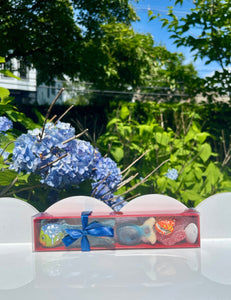 Sea-life Gift Box