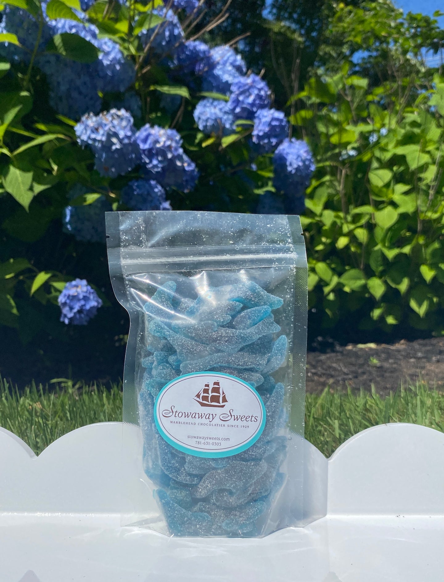 Blue Raspberry Sour Gummy Shark
